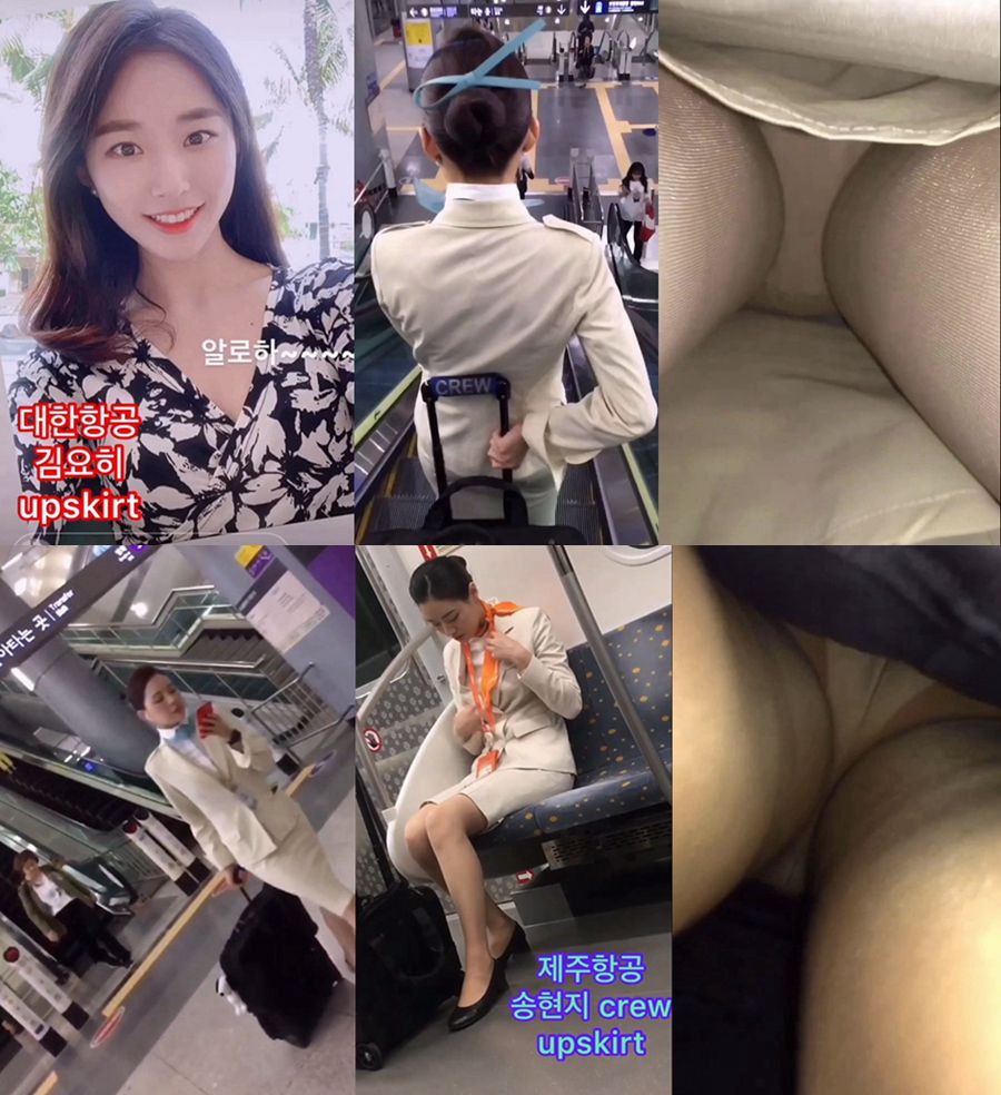 한국 스튜어디스 따라가기